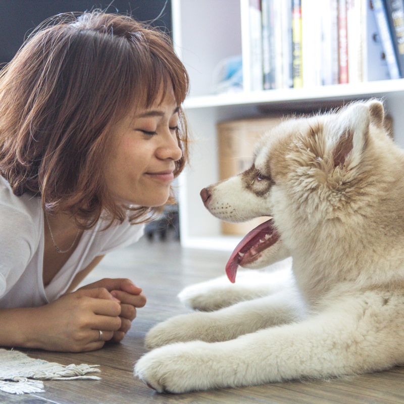 3 Tipps für eine bessere Bindung zwischen dir und deinem Hund