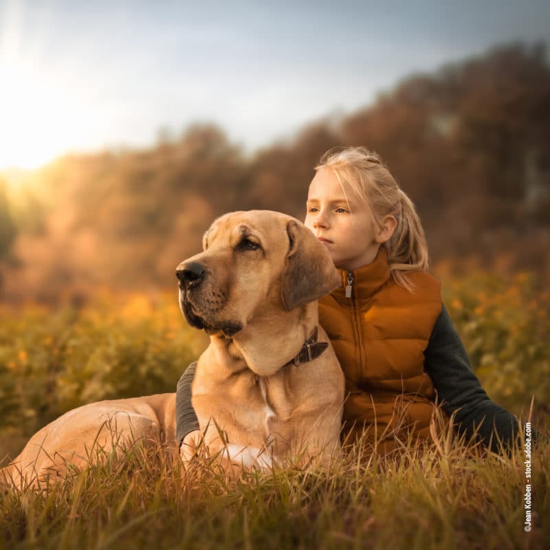 Artgerechte Tierhaltung - Wildborn Blog