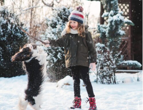 Winterwunderland im Garten: So wird euer Garten hundesicher