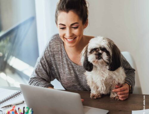 Hunde im Homeoffice: Tipps für entspanntes Arbeiten mit Vierbeiner