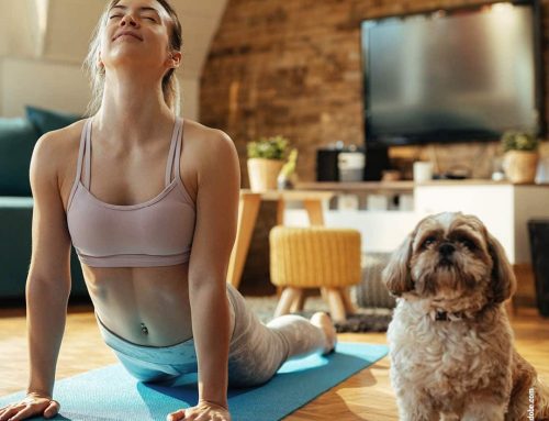 Gemeinsame Fitness: Effektive Indoor-Workouts für Mensch und Hund